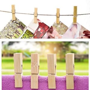 Multipurpose Wooden Heavy Clip (20 Pieces) for Clothespin , Dryer, Hanger, Photo Paper Peg Pin, (X407)