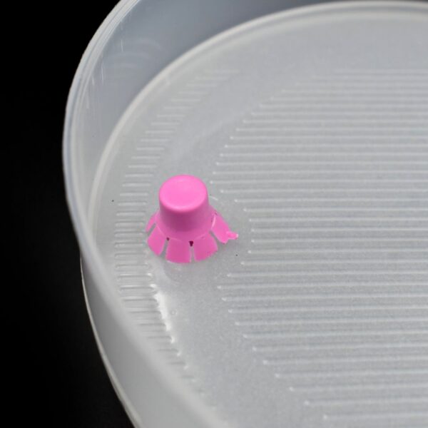 Sprout Maker 4 Layer used in all kinds of household and kitchen purposes for making and blending of juices and beverages etc. - Image 7