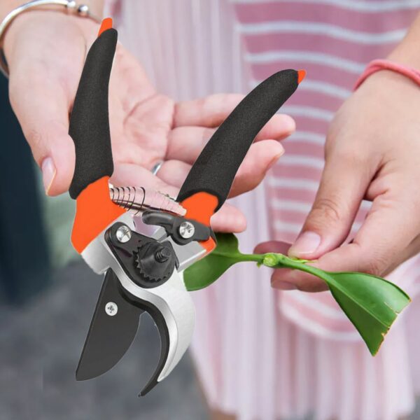 Garden Shears Sharp Cutter Pruners Scissor, Pruner - Image 3
