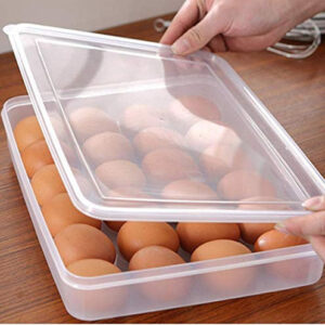 Egg Tray | Container | Storage 24 Grid (1PC) (5/1-X192)