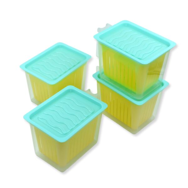 Fridge Storage Containers with Handle Plastic Storage Container for Kitchen(4 Pcs Set) (X1106) - Image 3