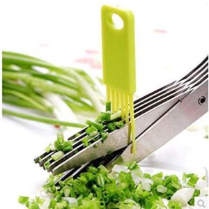 Multifunction Vegetable Stainless Steel Herbs Scissor With 5 Blades (X464)