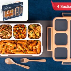 Lunch Box 4 Compartment With Leak Proof Lunch Box For School  Office Use (X493)
