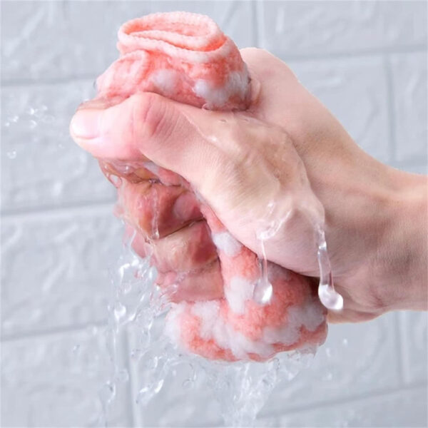 MICROFIBER  DISH CLOTH TOWEL (5PCS) (X626) - Image 3